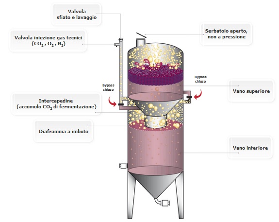 La struttura del vinificatore Ganimede